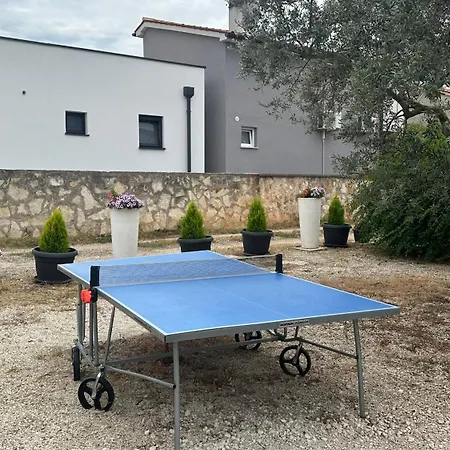 Aleksandra 1132 بيروغ