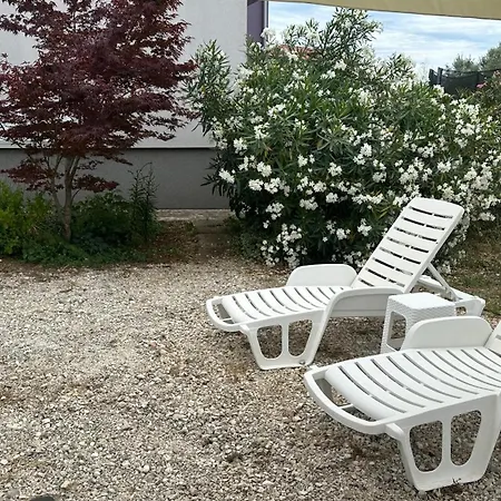 Aleksandra 1132 بيروغ