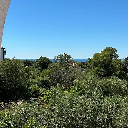 Aleksandra 1132 شقة