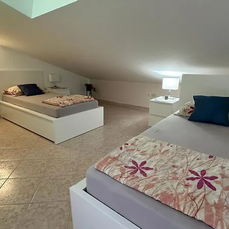 Aleksandra 1132 Appartement