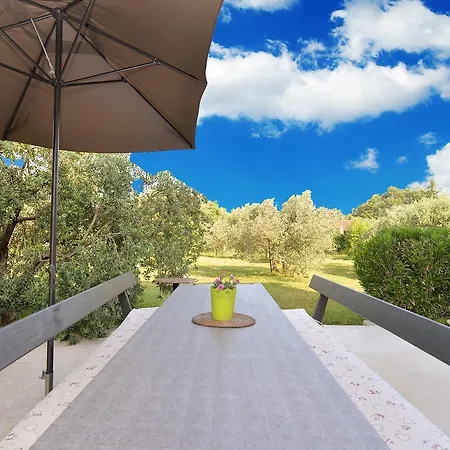 Daire Aleksandra 1132 Peroj