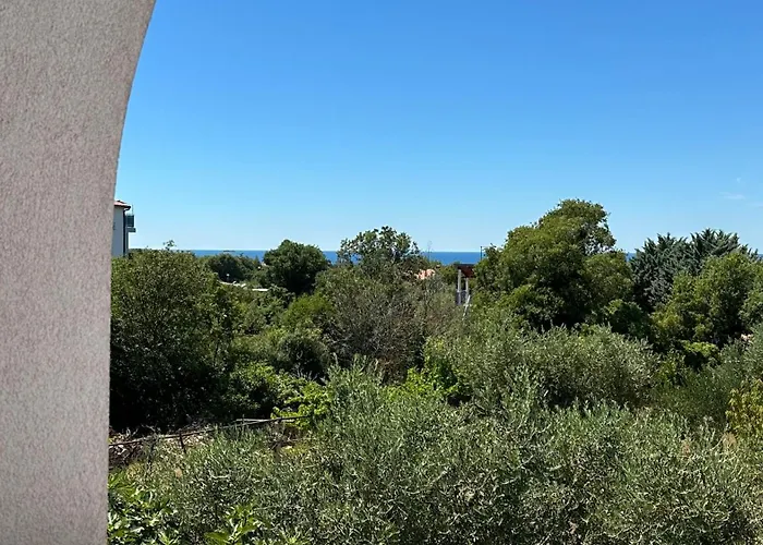 Aleksandra 1132 Appartement