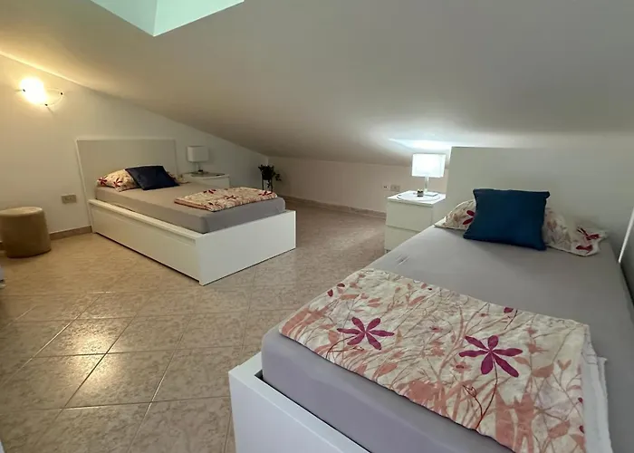 Aleksandra 1132 Appartement