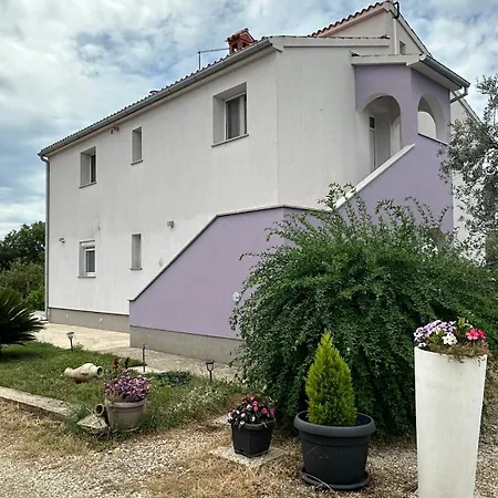 Aleksandra 1132 *